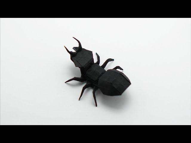 ORIGAMI ANT (Jo Nakashima)