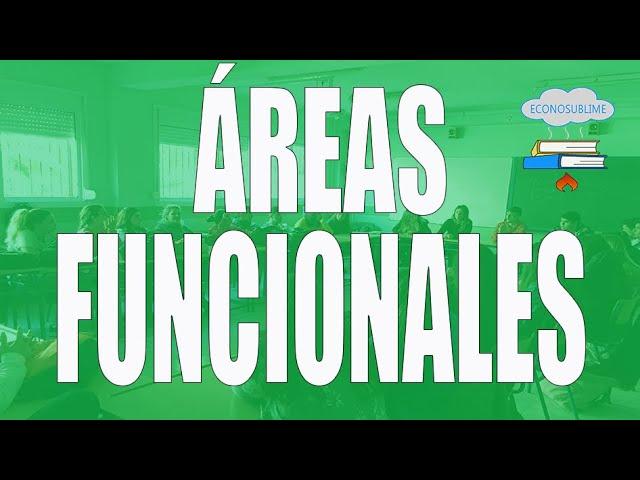 ¿Cuáles son las 4 áreas funcionales de la empresa?