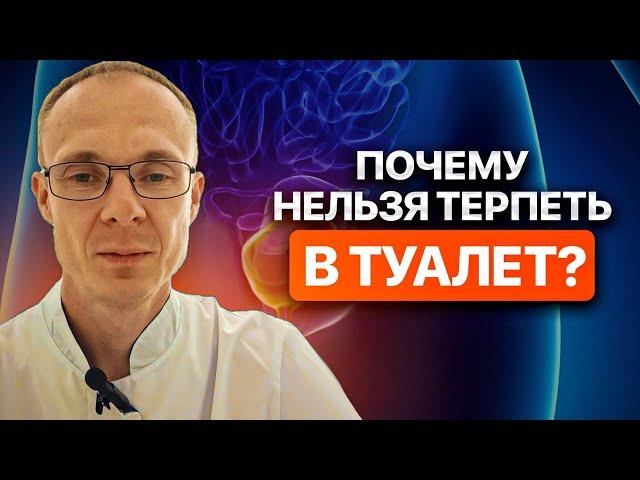 Почему нельзя терпеть в туалет? Врач уролог-андролог. Москва.