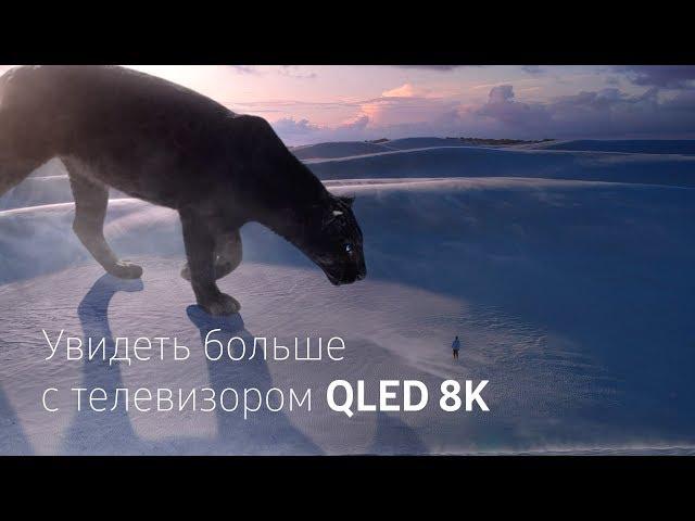 Samsung |Телевизор QLED 8K