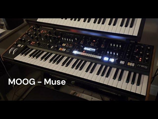 ALORA:LIQUID - Synth Tour (Moog Muse & Matriarch, Sequential OB-6 & Trigon-6, plus more!)