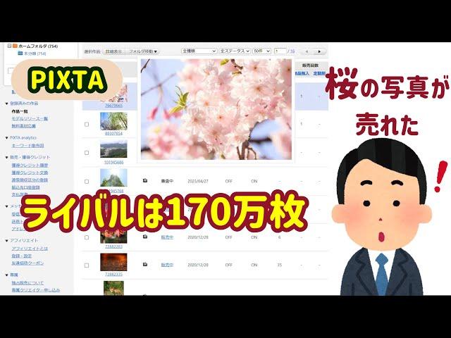 【嘘だろ？】素人が撮った桜の写真が売れたのか！？【PIXTA】