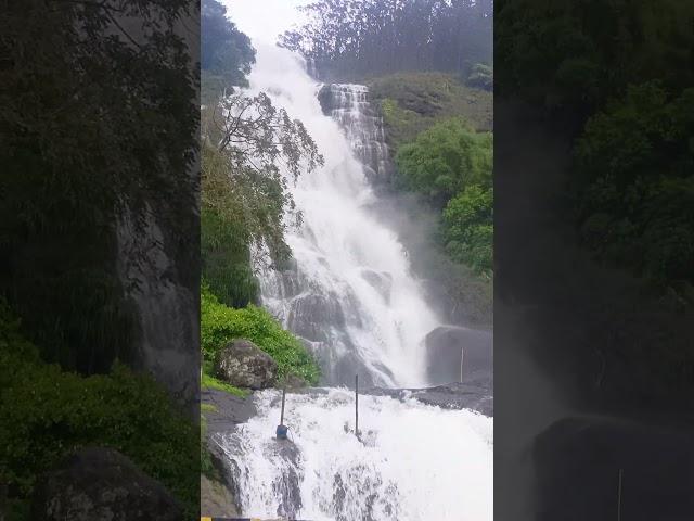 Periya Canal waterfall #munnar#nature #mansoon @TheDaily.Wanderer