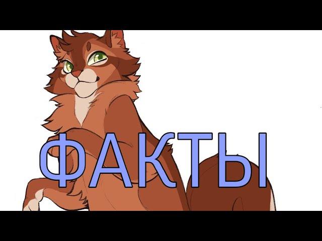 Факты о Белке|«Коты-Воители»