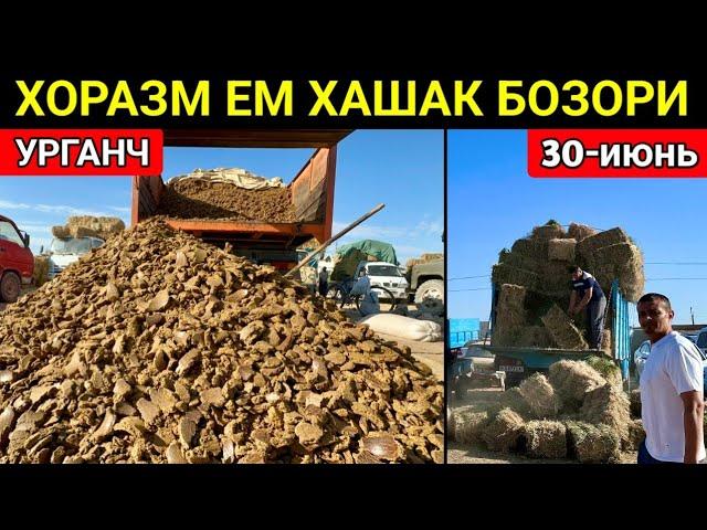 ХОРАЗМ ЕМ ХАШАК БОЗОР НАРХЛАРИ УРГАНЧ 30-июнь 2024 г.