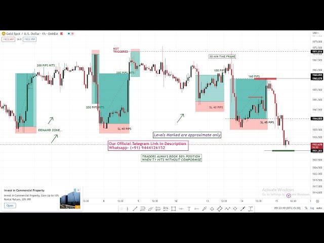 XAU/USD Live trading Today|Gold Live signal 14/11/24| Forex & Gold Signals|Live  Forex Trading Ideas