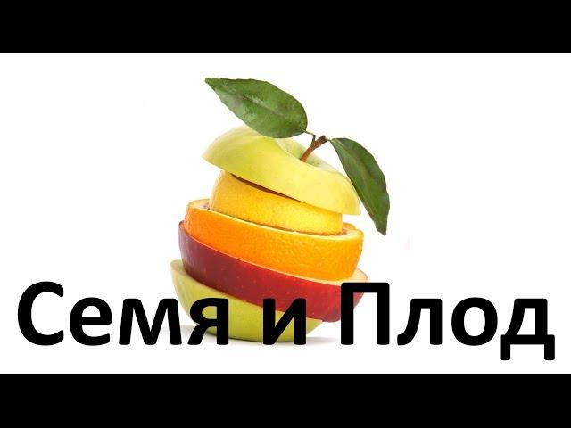 8. Семя и плод (6 класс) - биология, подготовка к ЕГЭ и ОГЭ 2018