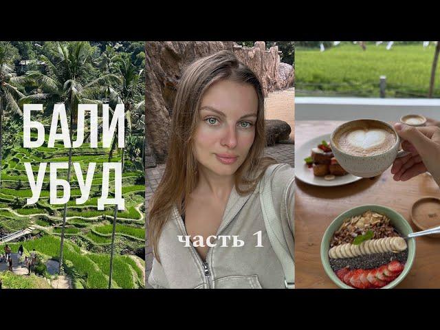 BALI VLOG: что посмотреть в убуде, рисовые террасы, святые источники себату, баня бали дача