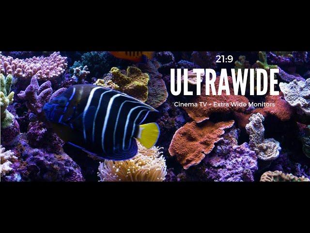 Ultrawide Screensaver for Cinema Displays 21:9 Aquarium Video Ultra HD