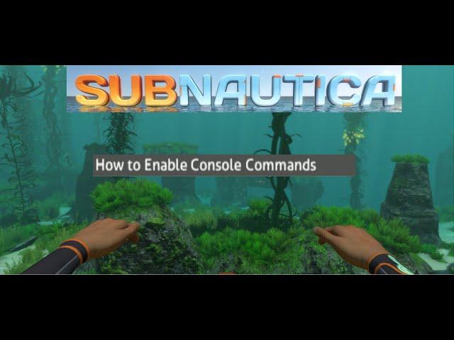 How to Enable Console Commands in Subnautica (OUTDATED)