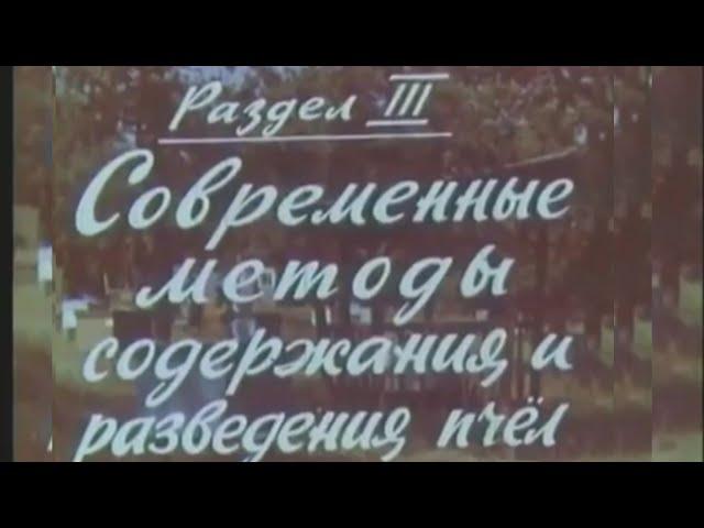 Современные методы содержания и разведения пчёл (Центрнаучфильм 1969 г.)