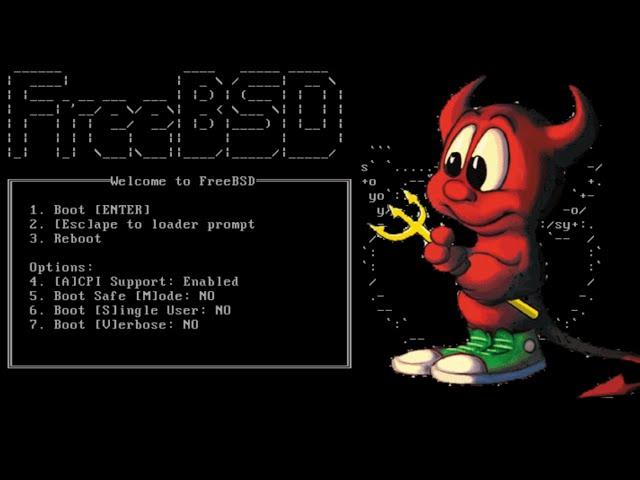 Сервер на FreeBSD: Домены, FTP и виртуальные хосты.