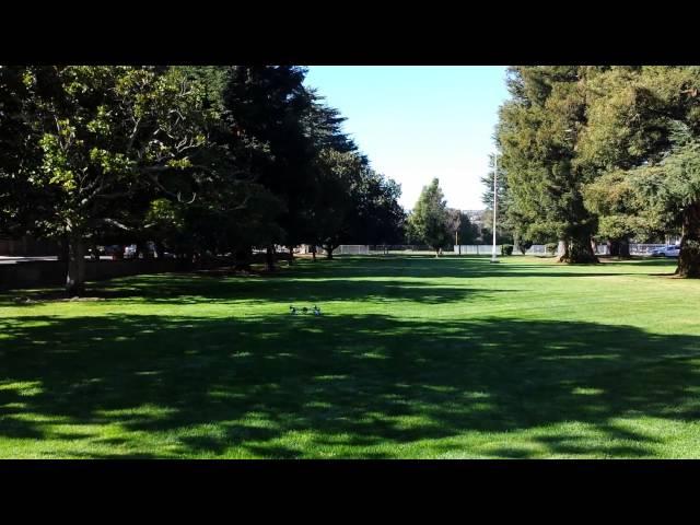 quadcopter