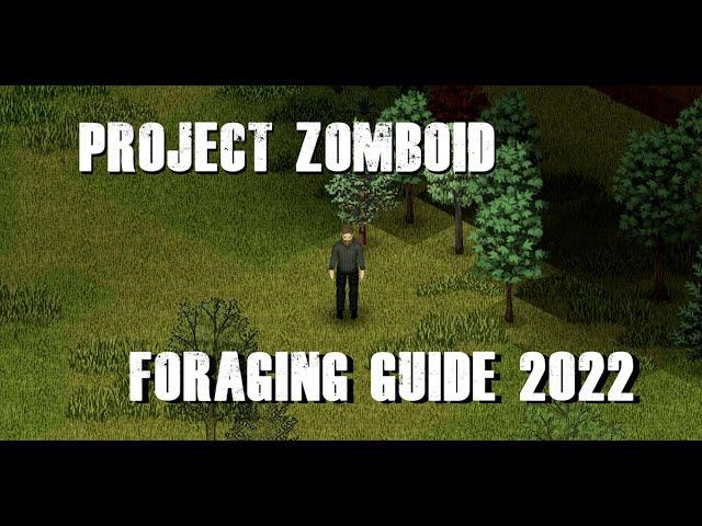 Project Zomboid Foraging Guide