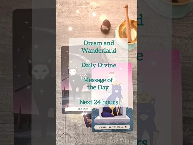 Daily Divine - Message of the Day - Next 24 hours #tarot #dailyoracle #oracle #24hours #tarotreading
