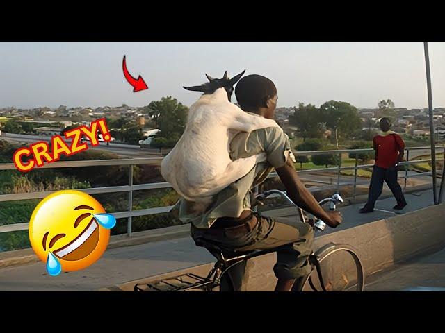 CRAZY Shocking and Funny Moments You’ll Only See in Africa!  #Viral #MustWatch (Part 5)