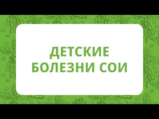 Детские болезни сои | Технология выращивания сои