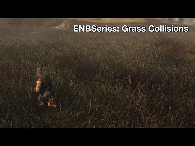 Skyrim Mod: ENBSeries Grass Collision