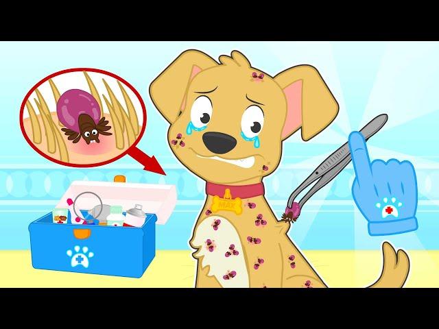 BABY PETS 🪳 Como curar um cão com carrapatos