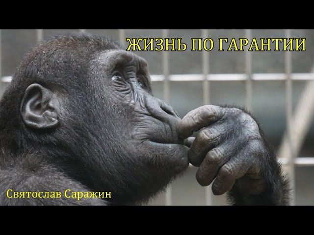 Жизнь без гарантий