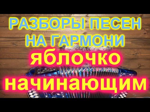 РАЗБОРЫ ПОД ГАРМОНЬ! ЯБЛОЧКО НАЧИНАЮЩИМ!