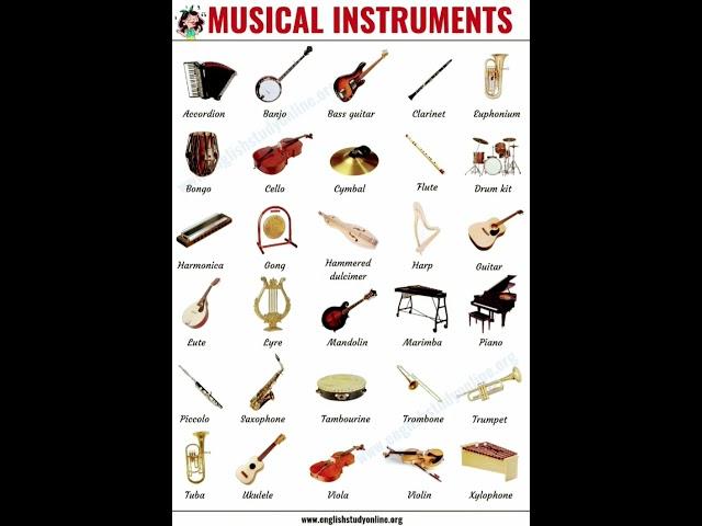 Musical  Instruments Names/List of Musical instruments Names/#ytshorts /#shorts/#new /#musical