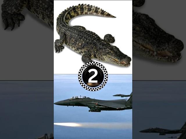 Guess The Brainrot Anomaly by picture combo pt.4