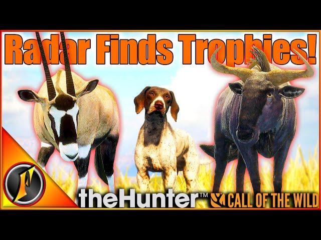 The BEST CASE for Pointers! | Finding a Diamond AND Rare on Vurhonga! | Call of the Wild