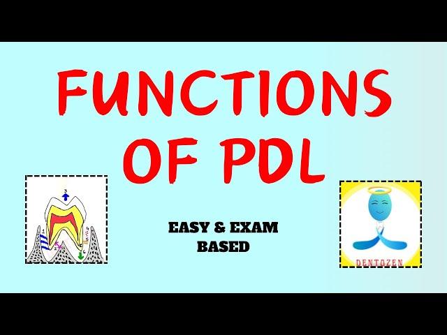 Functions of Periodontal Ligament | Functions of pdl