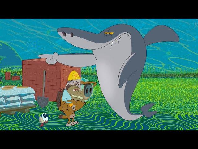 ZIG AND SHARKO | Sharko’s got Zig on the job! (SEASON 1) New episodes | Cartoon Collection for kids