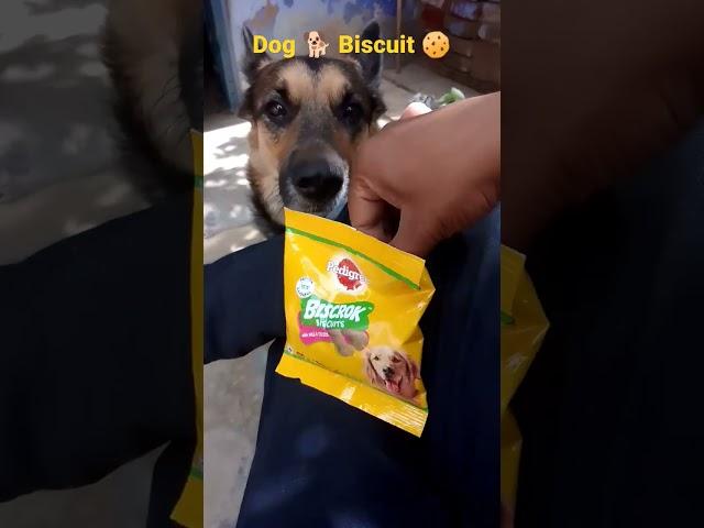 Pedigree Dog Biscrok Biscuits️