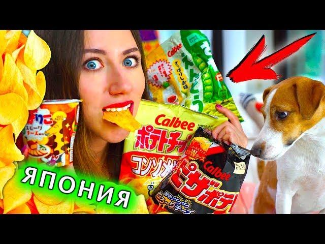 ЧИПСЫ ИЗ ЯПОНИИ ПОПРОБУЙ НЕ ЗАПИВАЙ ЧЕЛЛЕНДЖ ОБЗОР ЕДЫ ЯПОНСКАЯ ЕДА | Elli Di