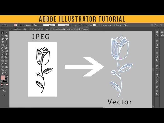 How To Convert JPEG into Vector | Adobe Illustrator Tutorial