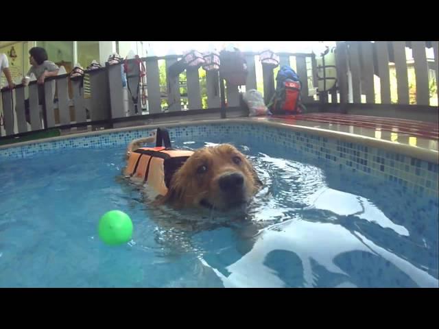 Oncetime Studio : Leica Swimming for the first time