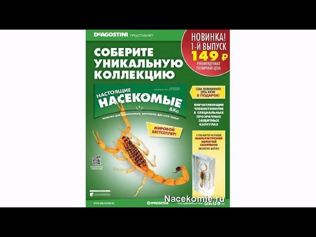 Настоящие Насекомые & Ко (ДеАгостини)