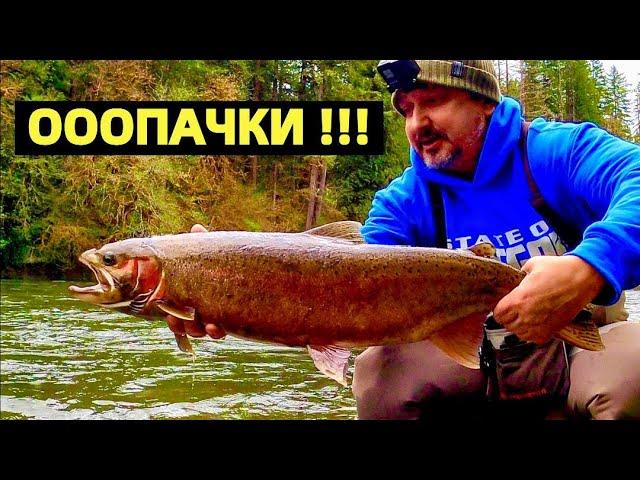 США. ЛОСОСЕВАЯ РЫБАЛКА И РЕЦЕПТ ПРИГОТОВЛЕНИЯ "ПОКЕ" ИЗ ЛОСОСЯ. STEELHEAD FISHING. DOWNSTREAMER.