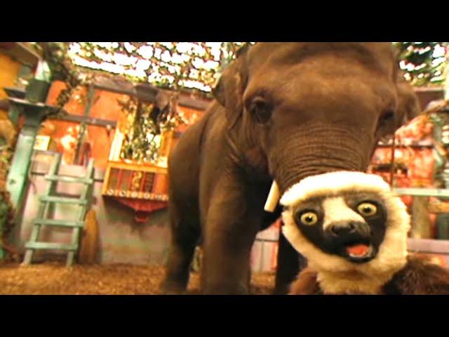 Zoboomafoo with the Kratt Brothers! BABY ELEPHANT 2 | Full Episodes Compilation