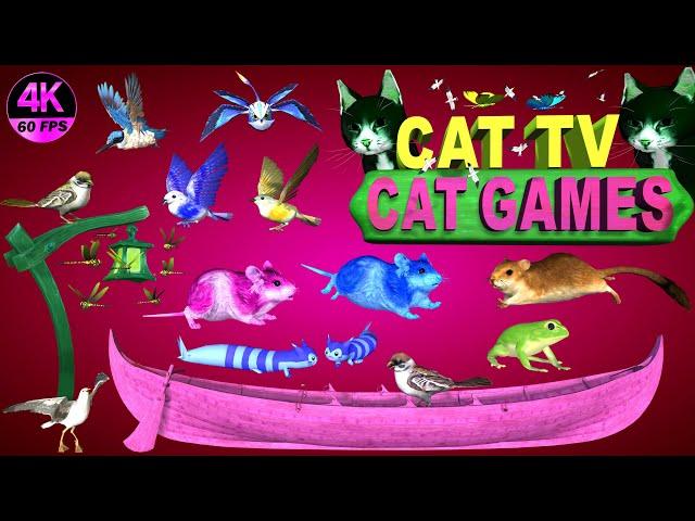 CAT GAMES COMPILATION | BEST CAT GAMES ON SCREEN | CAT ENTERTAINMENT VIDEOS MOUSE & BIRDS 4K-8 HOURS