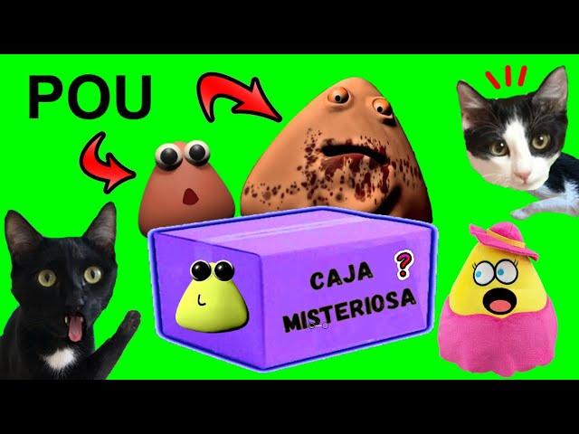 CAJA MISTERIOSA DE LA VENGANZA DE POU (BOU’S REVENGE) / Videos de gatos graciosos Luna y Estrella