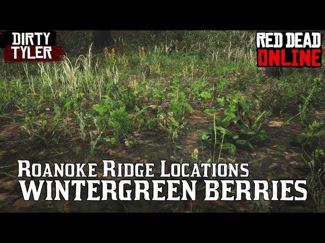 Wintergreen berry Locations for Daily Challenges   Red Dead Online Beta RDR2