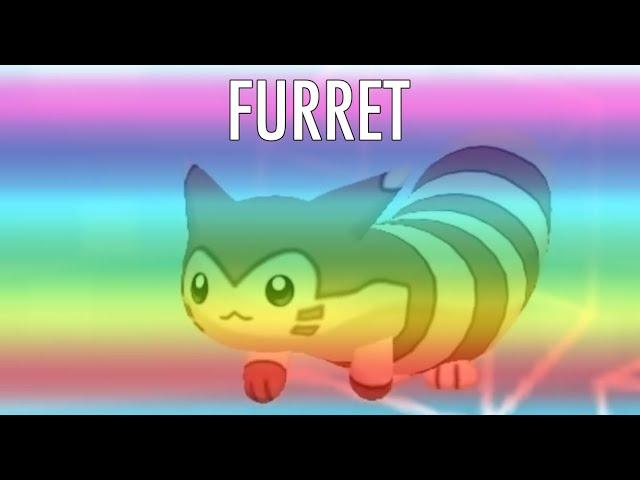 Furret Quest