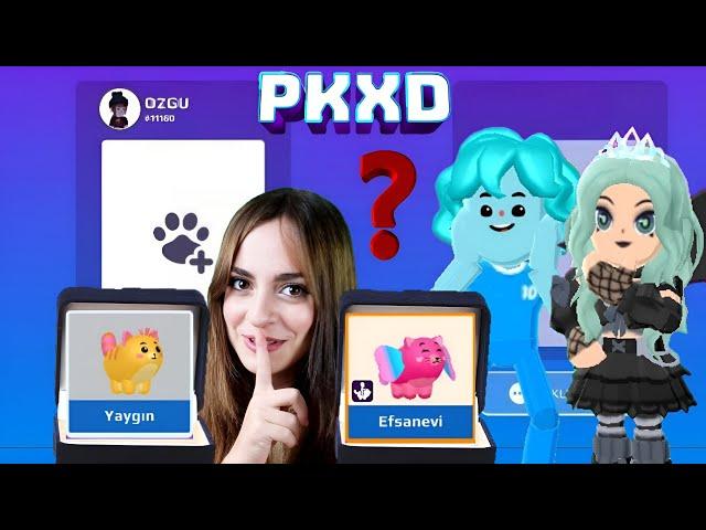 PK XD GİZEMLİ PET TAKASI BAŞLIYOR ! KUTUDAKİ PETLER ? EN DEĞERLİSİNİ BULABİLİR MİSİN? | ÖZGÜŞ TV