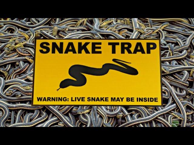 DIY **SNAKE-TRAP** !!! (100% Success Method)