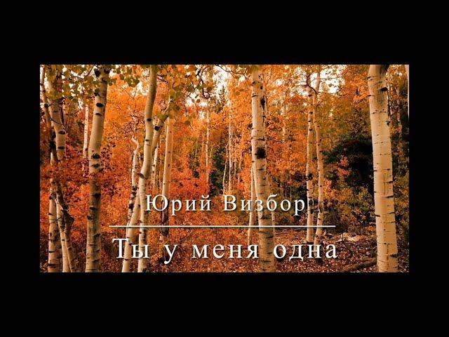 Юрий Визбор - Ты у меня одна - Guitar Karaoke / Караоке под гитару