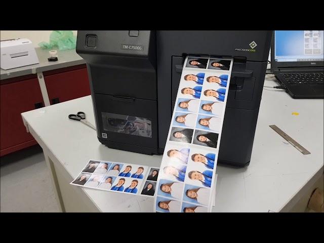 Epson C7500G colour label printer, photos and id tickets -KTEC GROUP UK