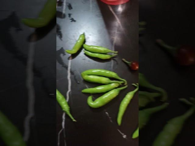 Chillies 