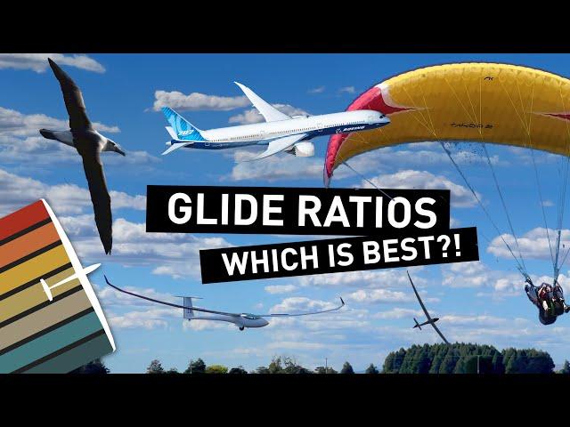 How Far Can Gliders Glide? Planes vs Sailplanes vs Space Shuttle vs Bird vs Paraglider vs HangGlider