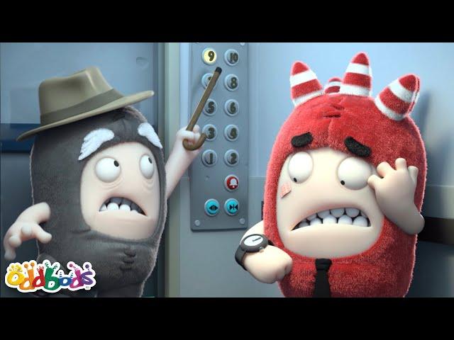 Лифт 3 | Чуддики | Смешные мультики для детей Oddbods