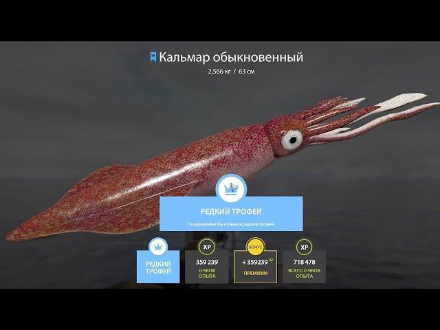 ИЩЕМ ОТЛИЧНЫЙ КЛЕВ НА МОРЕ В РУССКОЙ РЫБАЛКЕ 4 СТРИМ РОЗЫГРЫШИ РР4