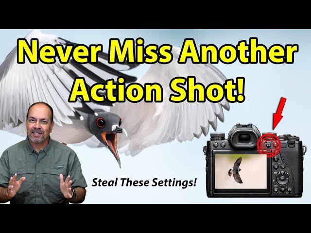 Game-Changer! The Secret Weapon for Wildlife & Bird Photography